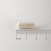 Lamberts Thiamin 100mg (Vitamin B1) 90 veg. Kapseln LB