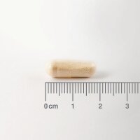 Lamberts Healthcare Digestizyme® [Enzym-Komplex] 100 veg. Kapseln