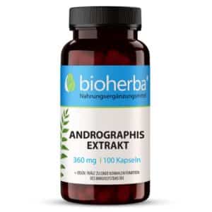Bioherba Andrographis Extrakt Kapseln
